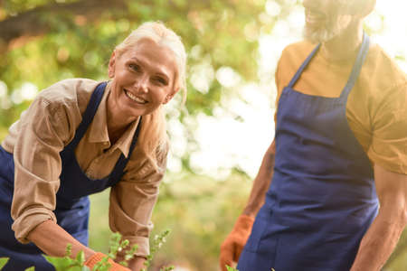 Smiling middle aged caucasian woman working in gardenの写真素材