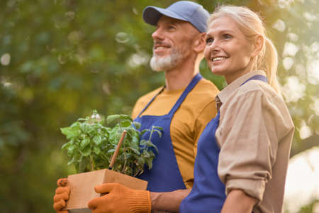 Middle aged caucasian couple with box of spicy herbsの写真素材