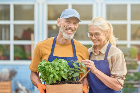 Cheerful middle aged caucasian couple with growing herbsの写真素材