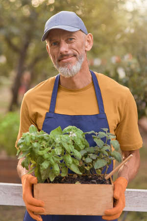 Happy middle aged caucasian business man with spicy herbsの写真素材
