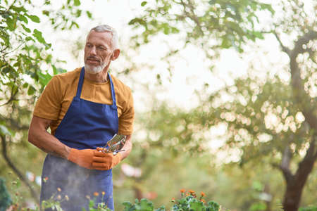 Middle aged caucasian man working in gardenの写真素材