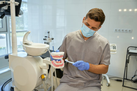 Caring doctor demonstrating proper way to brush teethの写真素材