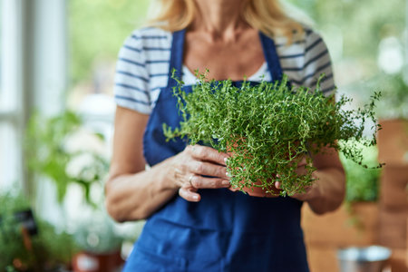 Close up view of spicy herb growing in potの写真素材