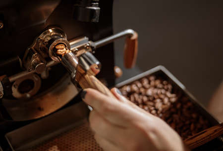 Male worker using industrial coffee roasting machineの写真素材