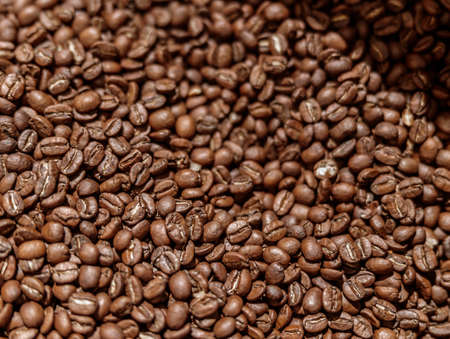 High quality freshly roasted arabica coffee beansの写真素材