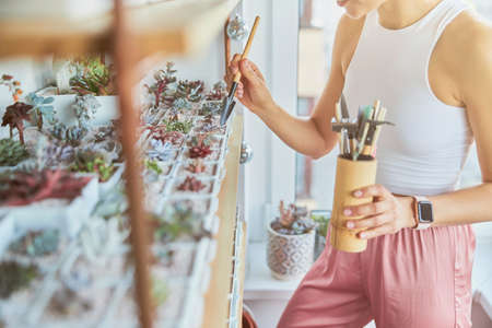 Young woman takes care of beautiful houseplants standing by rack in light roomの写真素材