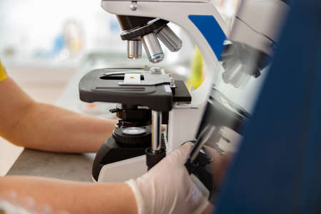 Woman vet conducting laboratory research in clinicの写真素材