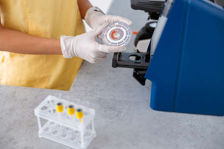 Female veterinarian conducting laboratory research in clinicの写真素材