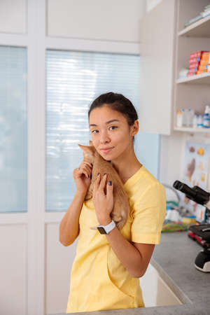 Woman veterinarian holding kitten in modern clinicの写真素材