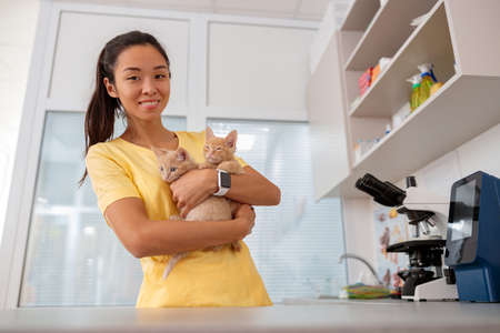 Young vet doctor holding kittens at doctor officeの写真素材