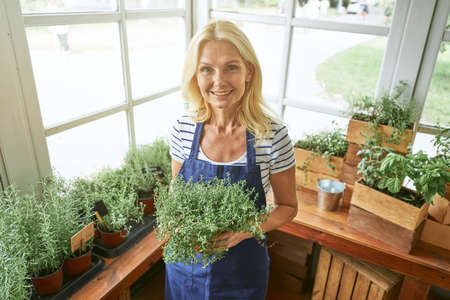 Business woman holding pot with growing spicy herbsの写真素材