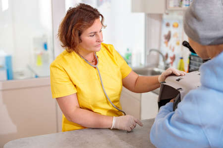 Woman veterinarian checking pet patient at her officeの写真素材