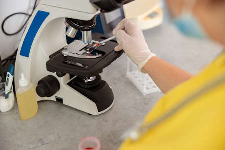 Female vet scientist doing tests in modern laboratory