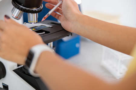 Female veterinarian doing laboratory research in clinicの写真素材