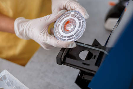 Female vet conducting medical research in laboratoryの写真素材