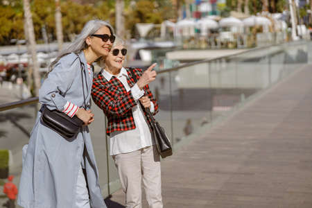 Female friends having conversation on promenade by seaの写真素材