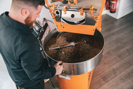 Professional barista operating modern coffee bean roasting machine