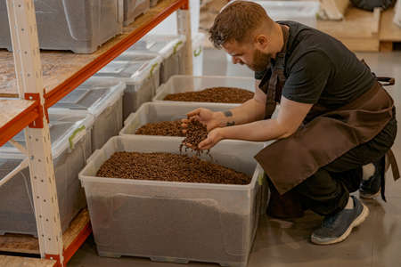Smiling Male barista in uniform inspection freshly roasted coffee beans on manufacturing