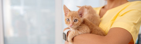 Woman vet cares of lovely kittens in doctor officeの写真素材