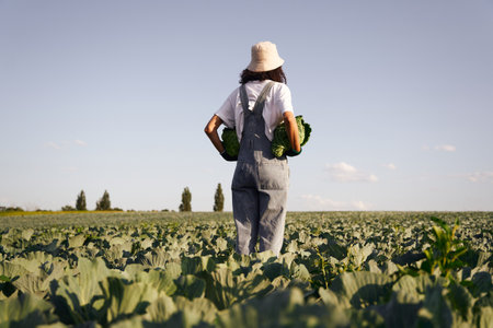 Back view of female farmer in uniform working in cabbage field during harvest. Agricultural activity