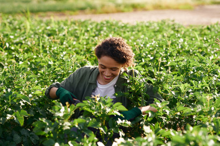 Smiling female farmer on field during harvesting. Agricultural occupation conceptの写真素材