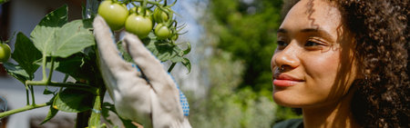Female farmer taking care of tomato plants in vegetables plantation. Agriculture conceptの写真素材