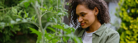 Female farmer taking care of tomato plants in vegetables plantation. Agriculture conceptの写真素材