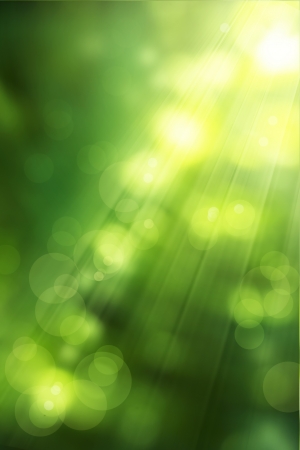 abstract nature background spring greens abstract nature background spring greens