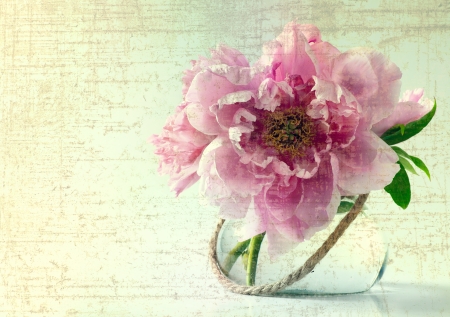 vintage spring flowers in vase on white background vintage spring flowers in vase on white background