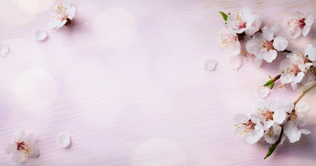 art Spring Blooming; spring flowers on wooden background art Spring Blooming; spring flowers on wooden background
