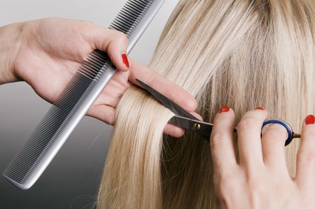 hairdresser cutting blonde hair. closeup over grey background hairdresser cutting blonde hair. closeup over grey background
