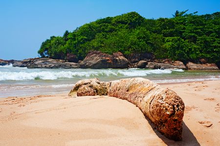 beautiful seashore and green islandの写真素材