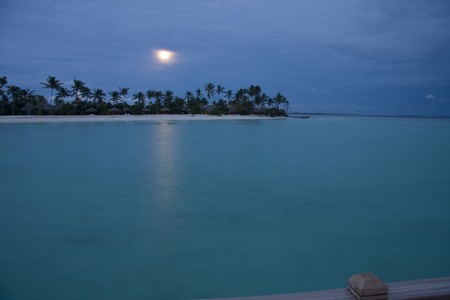Island in ocean, Maldives. Moon above palm trees shinesの写真素材