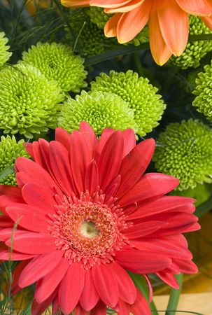 Bouquet from  gerberum and green branchesの写真素材