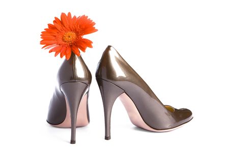 New elegant beige-gold shoes on a heel-stilete and a bright flowerの写真素材