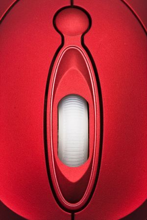 Ringlet of the computer mouse close upの写真素材