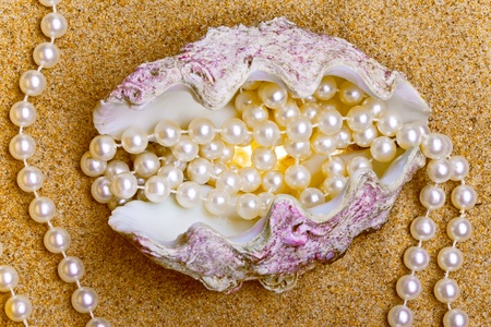 The exotic sea shell with a pearl beads lies on sand

の写真素材
