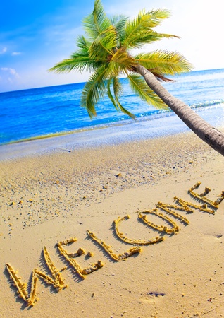 On a beach it is written Welcome and a palm tree over oceanの写真素材
