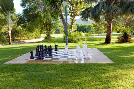 Figures for game in chess on the natureのeditorial素材