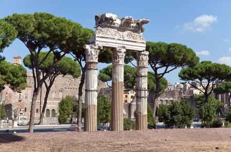 Italy. Rome. Ruins of an antique temple of Venusのeditorial素材
