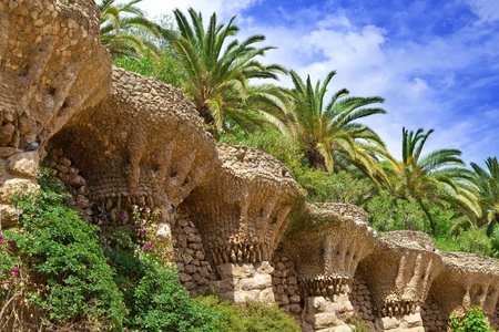 Tropical plants in garden