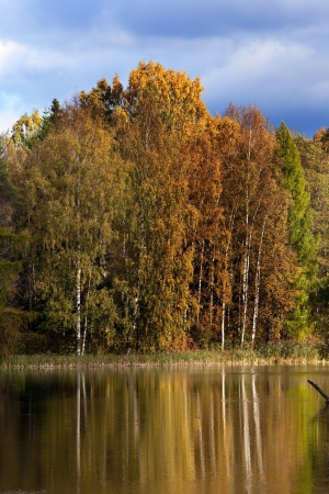 Russia. Saint-Petersburg. Gatchina. Autumn in palace park

の写真素材