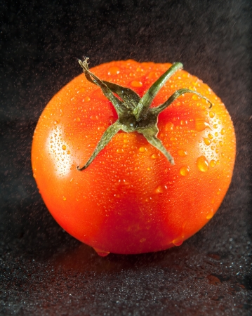 Red tomatoes in drops of waterの写真素材