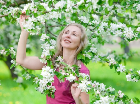 young attractive woman standing near the blossoming apple tree     の写真素材