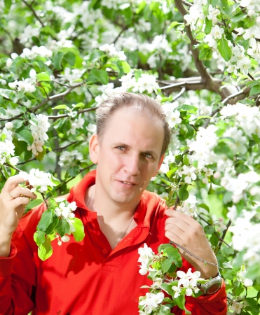 The attractive man at a blossoming apple tree    の写真素材
