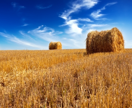 Stacks in the fieldの写真素材