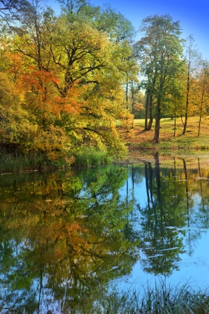 The bright autumn wood is reflected in the lakeの写真素材