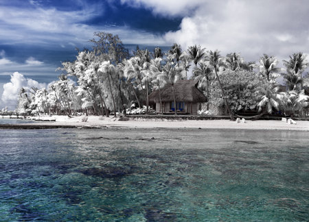 The island with palm trees to the sea, an infrared photoのeditorial素材