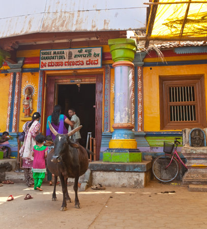 GOKARNA, INDIA - JANUARY 31  Sacred animal a cow at an entrance to the small temple in the Gokarna on January 31, 2014 in Karnataka, India    のeditorial素材