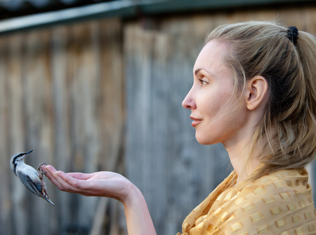 The young beautiful woman feeds a bird from a handの写真素材